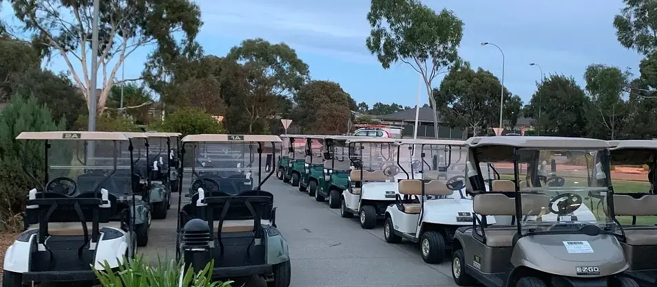 many golf carts